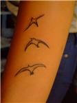 kus-dovmesi---bird-tattoos