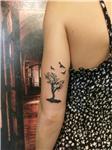 isim-dovmesi-uzerini-agac-ve-kuslar-dovmesi-ile-kapatma-calismasi---name-tattoo-cover-up-with-tree-and-birds