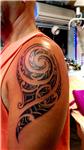 spiral-helezon-salyangoz-kabugu-fosili-dovmesi---spiral-snail-fossil-tattoo-