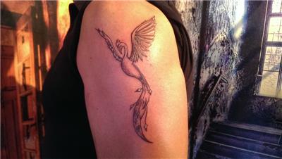 anka-kusu-dovmesi---phoenix-bird-tattoo