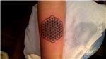 yasam-cicegi-sempiternal-halkalar-dovmesi---flower-of-life-tattoo