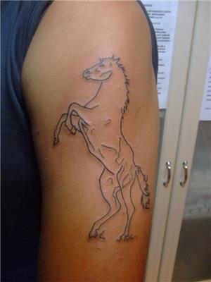 cizgisel-saha-kalkmis-at--dovmesi---line-work-horse-tattoo