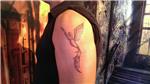 anka-kusu-dovmesi---phoenix-bird-tattoo