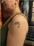 yunus-dovmesi-ekleme-ve-duzeltme-calismasi---dolphin-tattoo-cover-up
