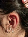 titanyum-kulak-piercing---titanium-outer-conch-piercing