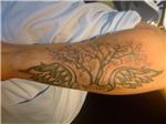 kanat-ve-agac-dovmesi---wing-and-tree-tattoos