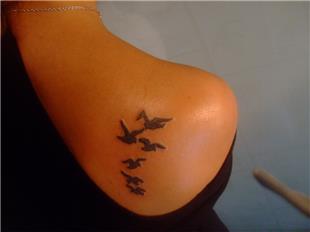 Silet Kular Dvmesi / Birds Tattoos
