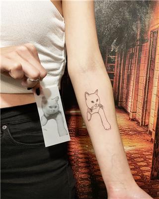 cizgisel-kedi-dovmesi---cat-tattoos