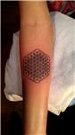 yasam-cicegi-sempiternal-halkalar-dovmesi---flower-of-life-tattoo