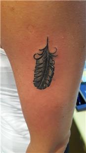 Ty Dvmesi / Feather Tattoos
