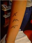 kus-dovmesi---bird-tattoos