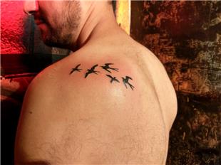 Omuza Ku Dvmeleri / Birds Tattoos