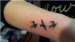 kus-dovmeleri---bird-tattoos