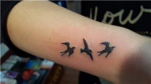 Ku Dvmeleri / Bird Tattoos