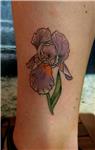 iris-susen-cicegi-dovmesi---iris-flower-tattoo