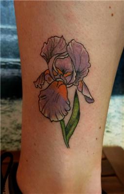 iris-susen-cicegi-dovmesi---iris-flower-tattoo