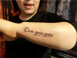 Latince Yaz Dvmesi Dum spiro,spero Latin Tattoo