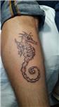 denizati-dovmesi---seahorse-tattoo