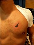 isim-dovmesi-uzerini-kartal-motifi-ile-kapatma-dovmesi---name-tattoo-cover-up-with-eagle-tattoo