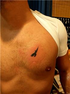 sim Dvmesi zerini Kartal Motifi ile Kapatma Dvmesi / Name Tattoo Cover Up with Eagle Tattoo