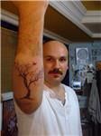 agac-dovmesi---tree-tattoos