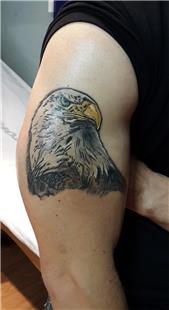 Kartal Dvmesi / Eagle Tattoos