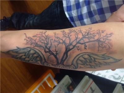 kanat-ve-agac-dovmesi---wing-and-tree-tattoos