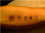 kar-tanesi-evreleri-dovmesi---snowflake-evolution-tattoo