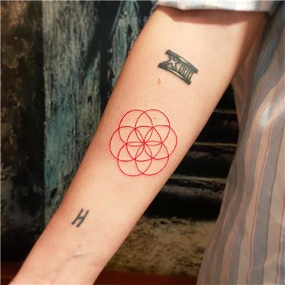 kirmizi-yasam-cicegi-dovmesi---flower-of-life-red-tattoo