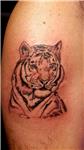 kaplan-dovmesi---tiger-tattoo