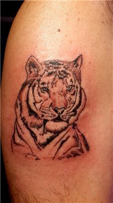 kaplan-dovmesi---tiger-tattoo