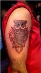 baykus-dovmesi---owl-tattoo