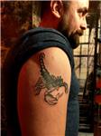 isim-dovmesi-akrep-dovmesi-ile-kapatma-calismasi---name-tattoo-cover-up-with-scorpion