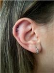 orbital-double-helix-piercing