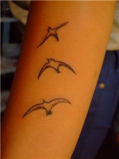 Kuş Dövmesi / Bird Tattoos