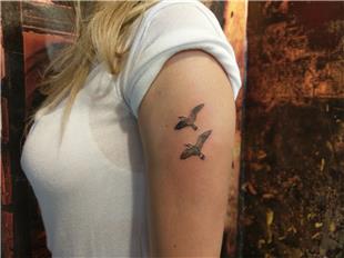 Minimal Albatros Dövmesi / Minimal Albatross Tattoo