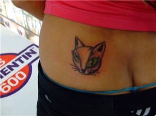 Kedi Dövmeleri / Cat Tattoos 