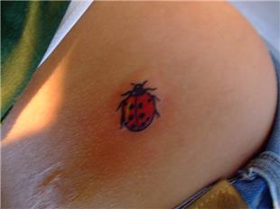 Uur Bcei Dvmesi / Ladybug Tattoo