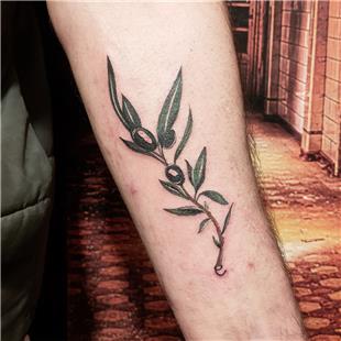 Zeytin Dalı Dövmesi / Olive Branch Tattoo
