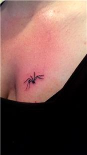 rmcek Dvmesi / Spider Tattoo