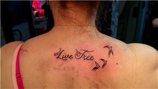 Live Free Yaz Dvmesi ve Kular