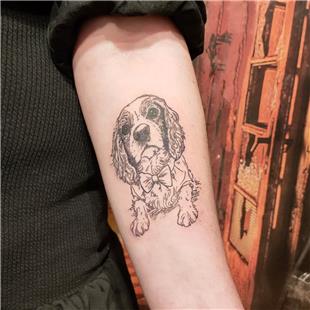 Cavalier King Charles Spaniel Kpek Portresi Dvme / Cavalier King Charles Spaniel Dog Portrait Tattoo