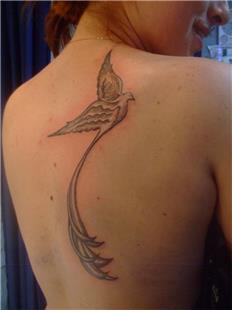 Kuş Dövmeleri / Bird Tattoos