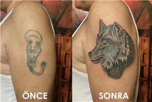 Kurt Motifi ile Dvme Kapatma almas / Wolf Tattoo Cover Up