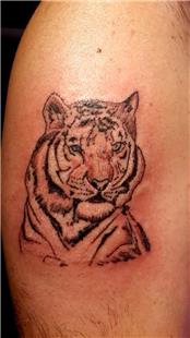Kaplan Dövmesi / Tiger Tattoo