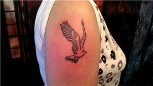 Gvercin ve Tarih Dvmesi / Pigeon and Date Tattoo