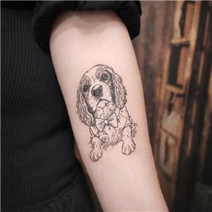 Cavalier King Charles Spaniel K�pek Portresi D�vme / Cavalier King Charles Spaniel Dog Portrait Tattoo