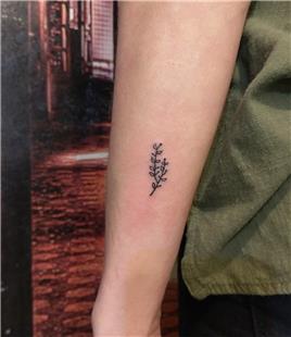 Minimal Zeytin Dal Dvmesi / Minimal Olive Branch Tattoo