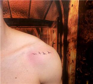 Omuza Uçan Kuşlar Dövmesi / Flying Birds Tattoo