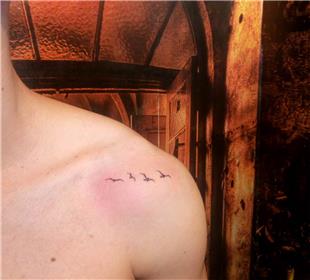 Omuza Uan Kular Dvmesi / Flying Birds Tattoo